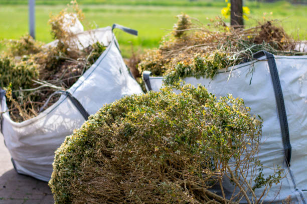 Best Construction Debris Removal  in Phillipsburg, GA